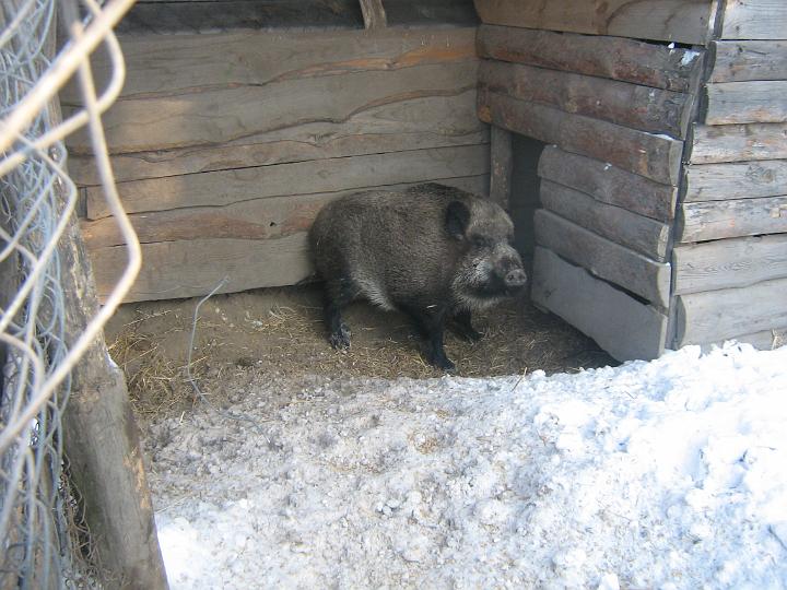 zad 074.jpg
